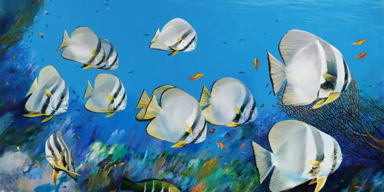 Manel Gil, pintor marí i submarí 