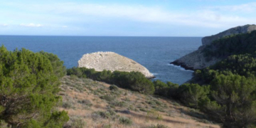 Itineraris amb plantes destacables al PNMMBT (II) l’altiplà del Montgrí