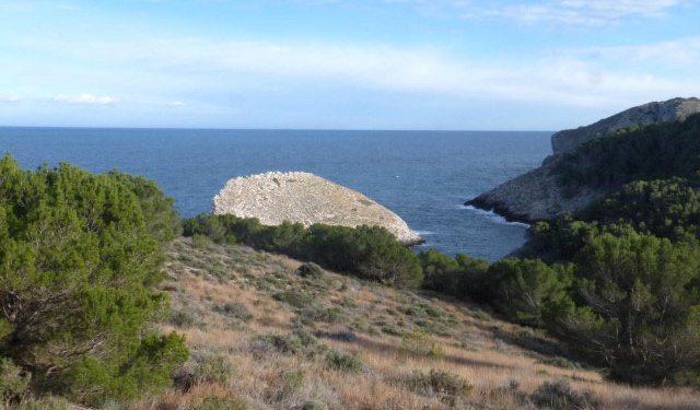 Itineraris amb plantes destacables al PNMMBT (II) l’altiplà del Montgrí
