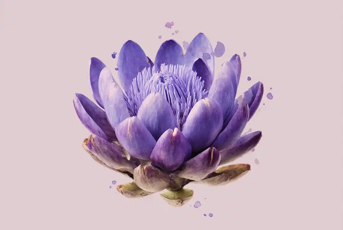 Reflexions Horacianes (V)