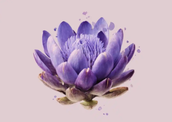 Reflexions Horacianes (V)