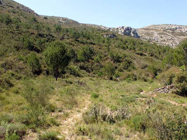 Itineraris amb plantes destacables al PNMMBT (III) La vall de Santa Caterina