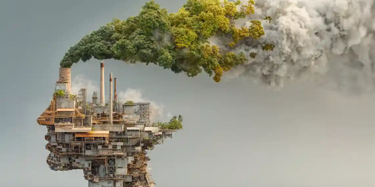 L’Economia Justa, existeix? (II)