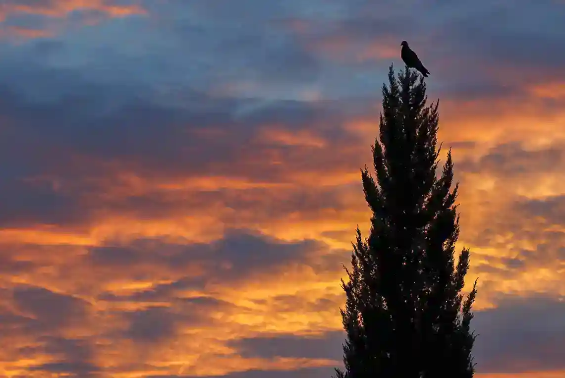 Reflexions Horacianes XII