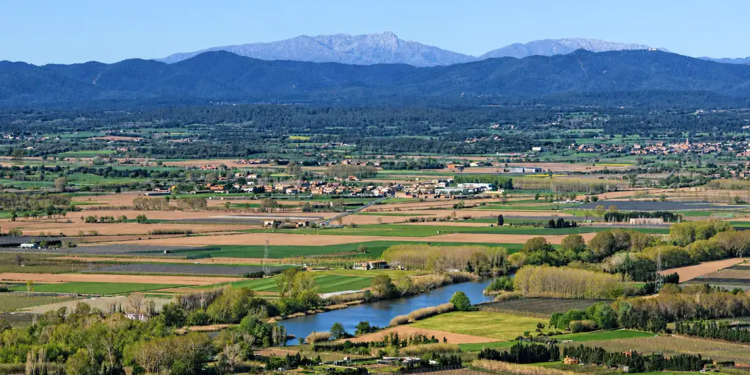 La resclosa i el rec del Molí