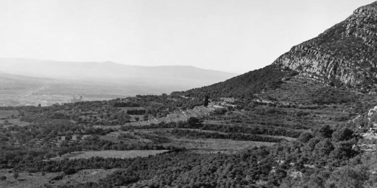 Qui era en Navarro del “xifrer d’en Navarro”?
